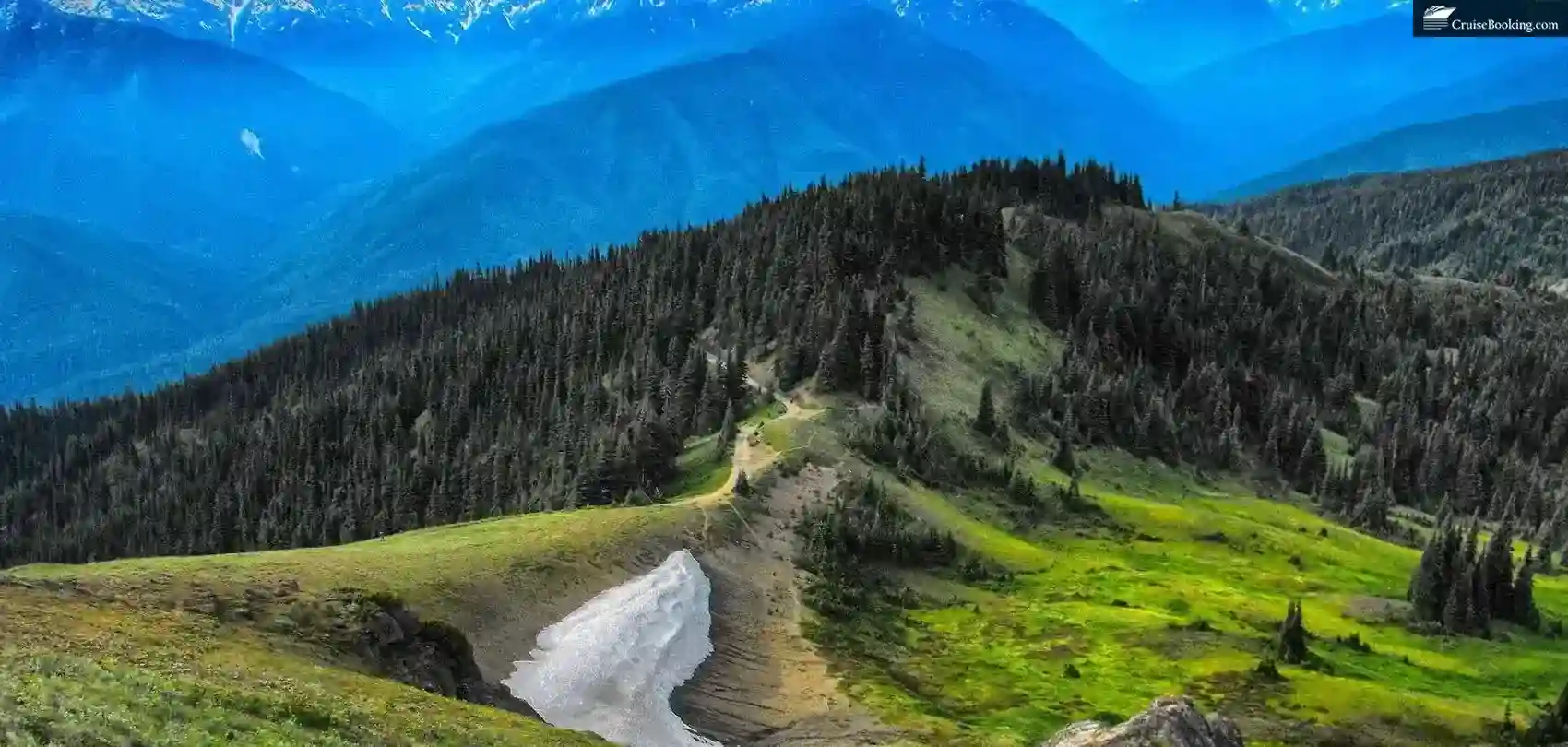 Mountains and Trees