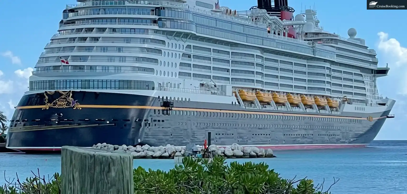 Disney cruise line