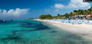 Caribbean Grank turk