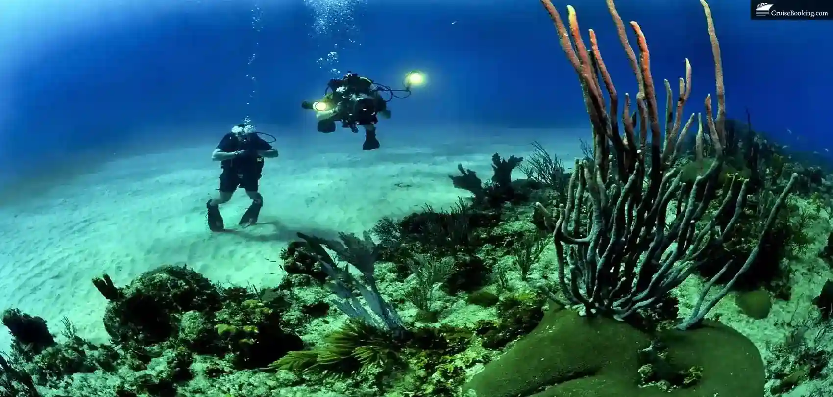 Scuba Diving