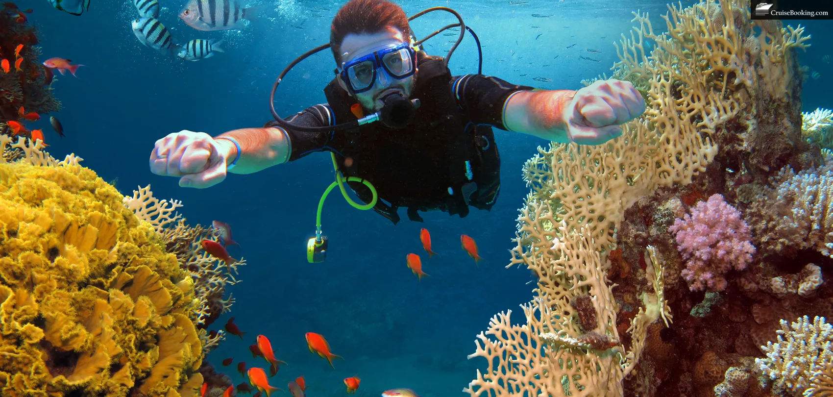 9 Best Snorkeling Destinations in the Caribbean