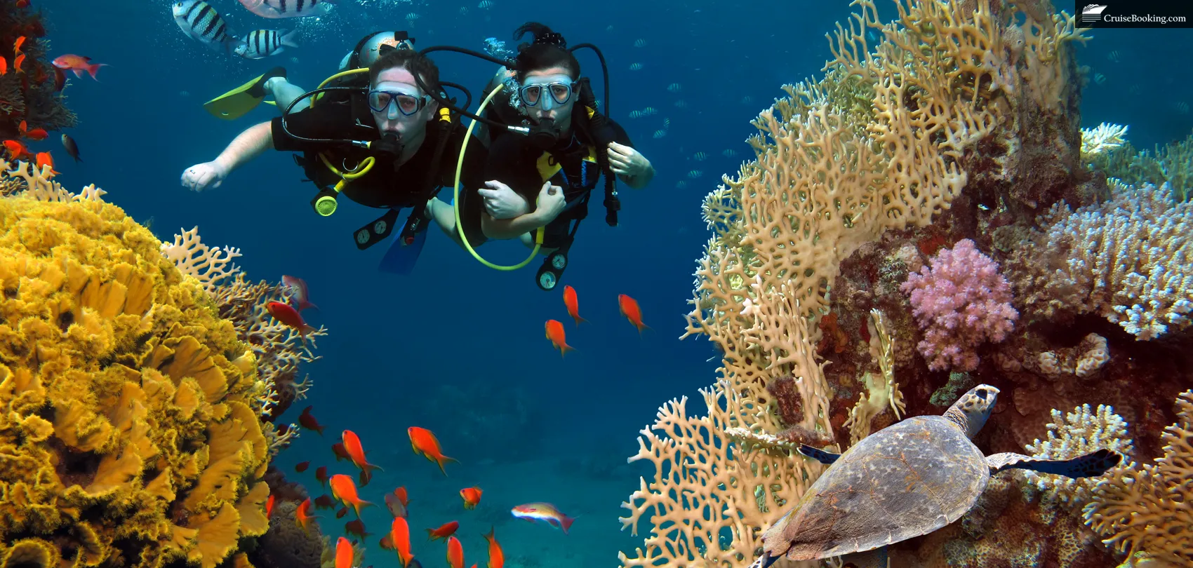 snorkeling diving cruise