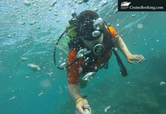 snorkeling on cruise