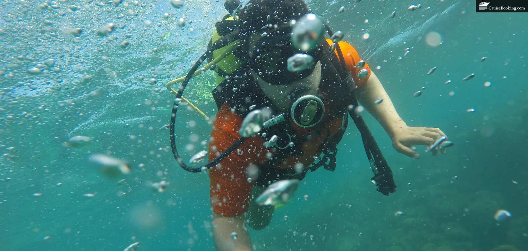 snorkeling on cruise