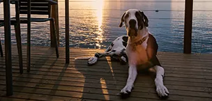 Cunard_Cruise_Tips Queen Mary 2