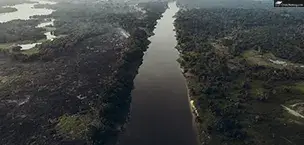 Amazon river rainforest deforestation and burning