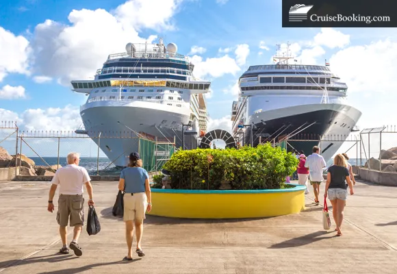 Cruise Fees and taxes