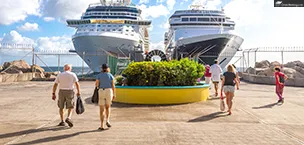 Cruise Fees and taxes