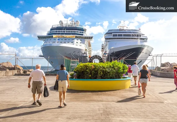 cruise shore excursions