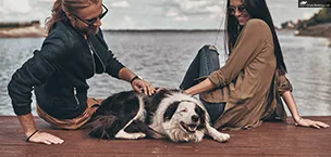 First_Time_Cruisers Pets allowed or not