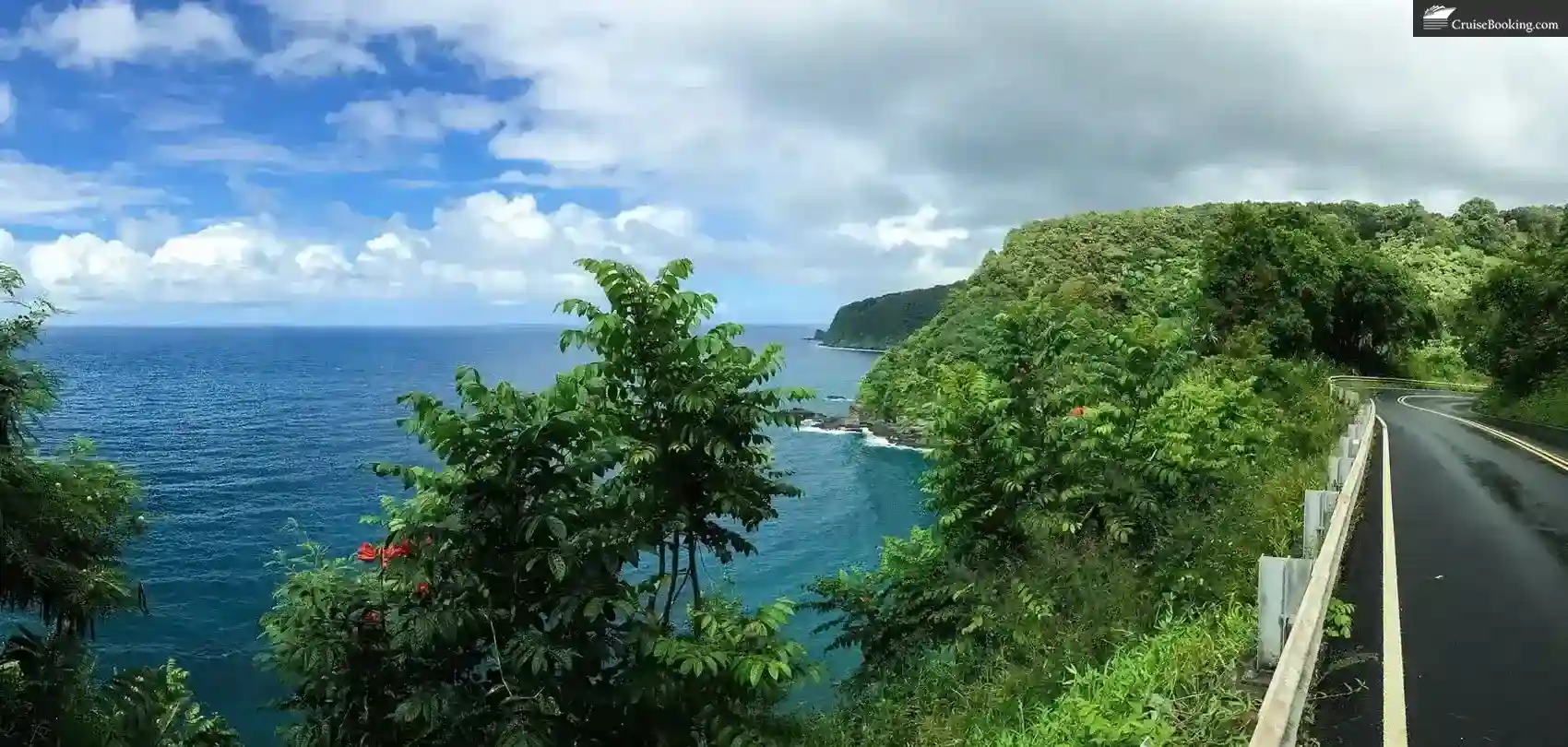 Hawaii Cruise Essential Things You Should Know