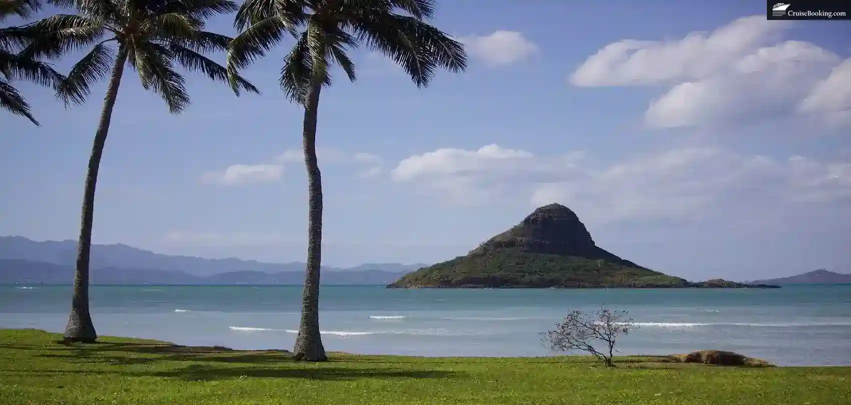 Hawaii Beach Sea