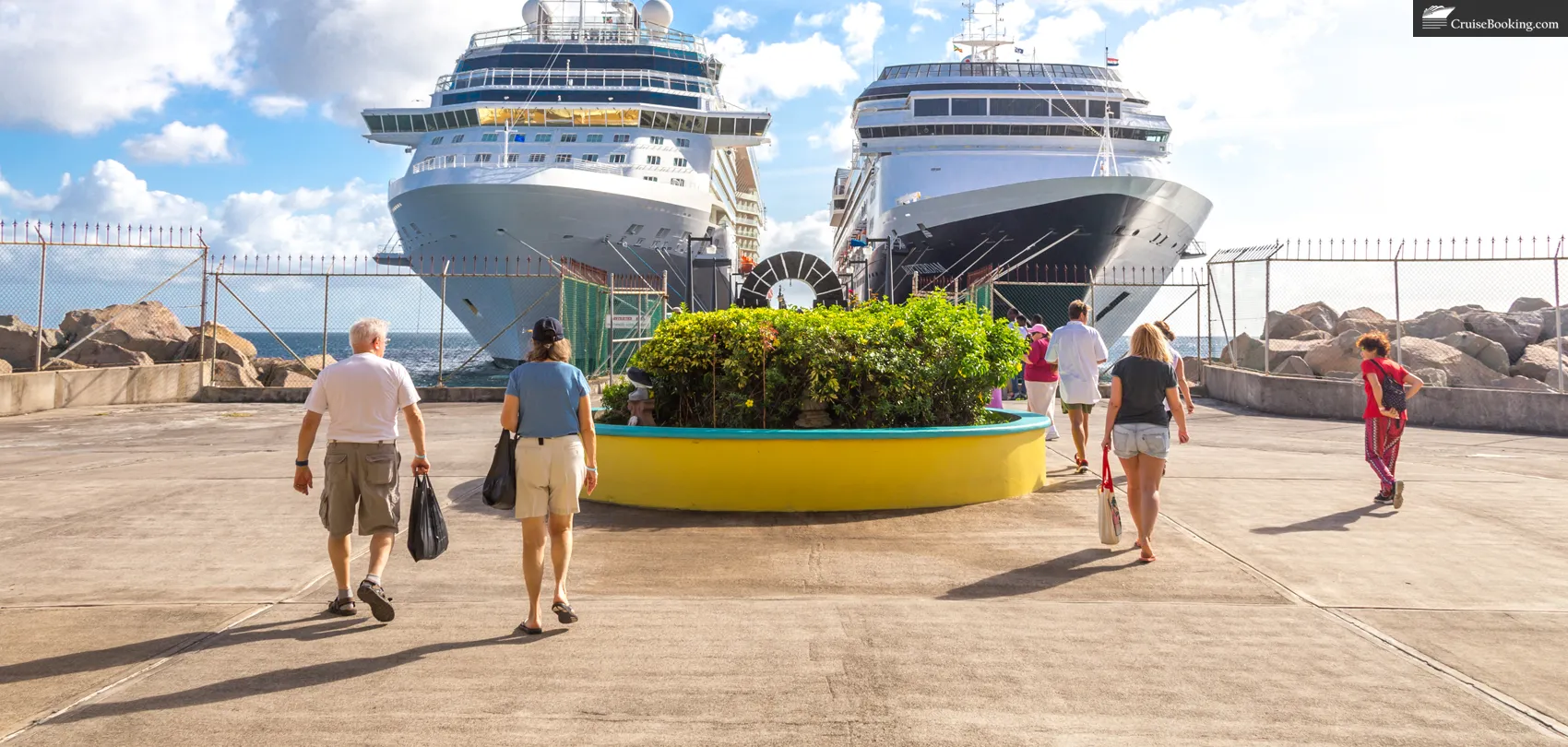 What Are The Best MSC Cruise Shore Excursions what-are-the-best-msc-cruise-shore-excursions