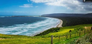 New_Zealand New Zealand