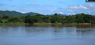 River_Cruising A serene Mekong River landscape with greenery. Water calm and reflective, and fluffy white clouds.