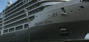 Silver Moon