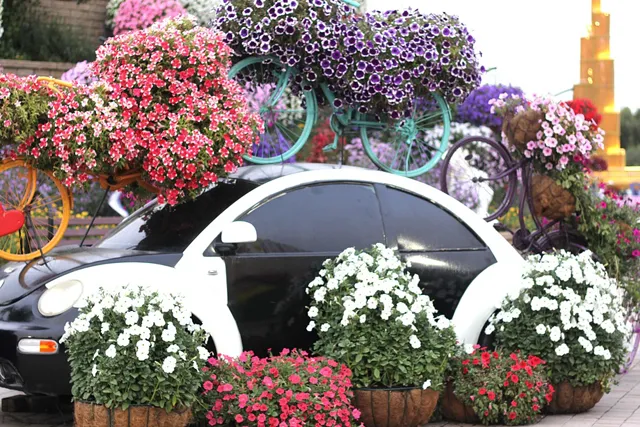 Dubai Miracle Garden