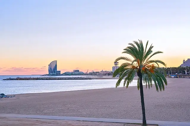 The beach at Barcelona's nova icaria or barceloneta at sunset