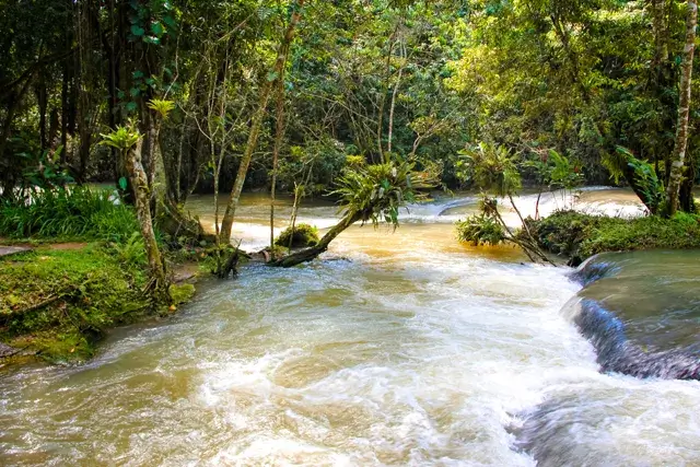 In the Dunn's River Falls Park in Jamaica, you can see Dunn's River Falls