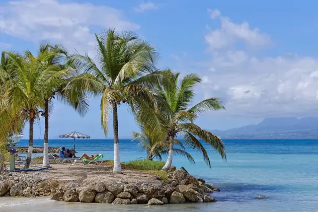 Image of a beach with coconuts and the sea in the background