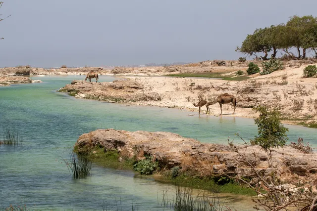 Salalah