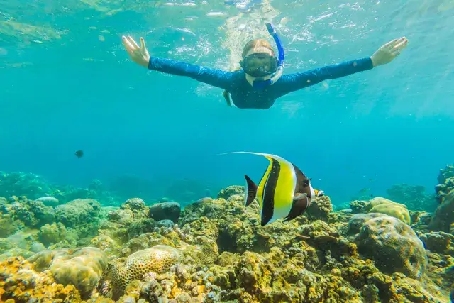 Swimming lessons on summer beach holiday with happy woman in snorkeling mask dive underwater with tropical fishes in coral reef sea pool travel lifestyle water sport outdoor adventure