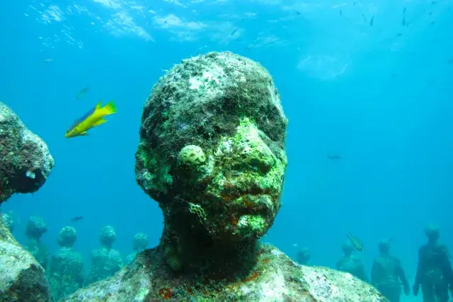 At Molinere Bay, there is an underwater sculpture park that is open to the public