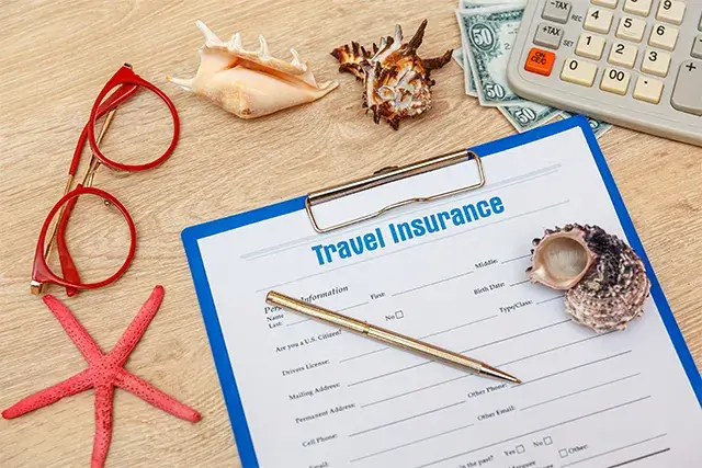 Documents related to travel insurance and seashells