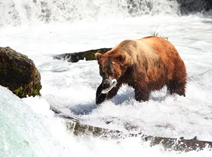 Alaska Cruise Deals