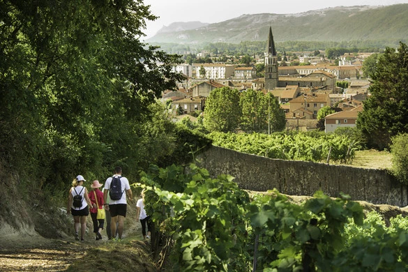 Avalon Waterways Adventure Center Bikes Hikes Excursions 1