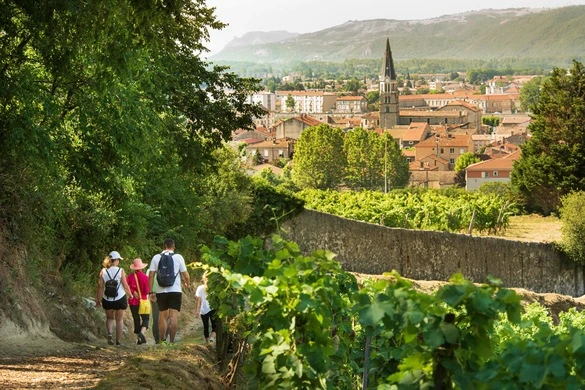 Avalon Waterways Active And Discovery
