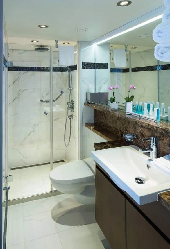 AmaWaterways AmaSerena AmaSonata AmaReina AmaPrima AmaCerto Accommodation Bathroom