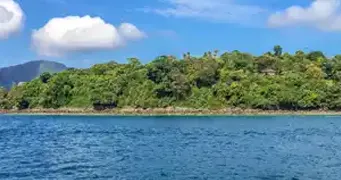 Asia and Asia Pacific