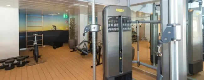 fitness