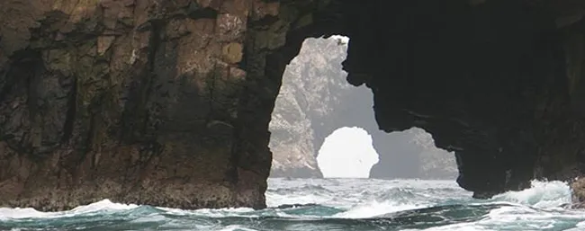 shore-excursions