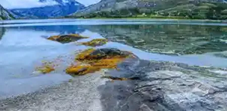 Norway