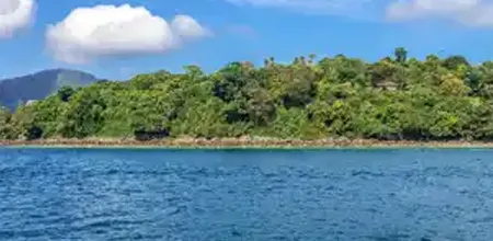 Asia and Asia Pacific