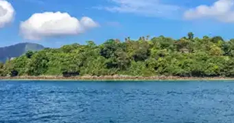 Asia