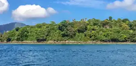 Asia and Asia Pacific