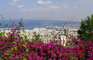 Haifa