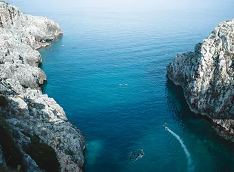 Mediterranean