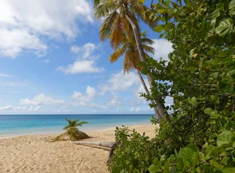 Caribbean Western