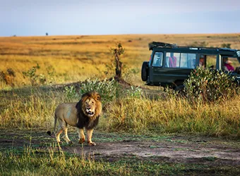 Africa