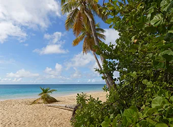 Caribbean Western