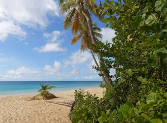 Caribbean Western