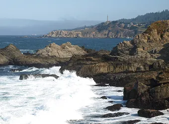 Pacific Coastal