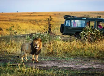 Africa
