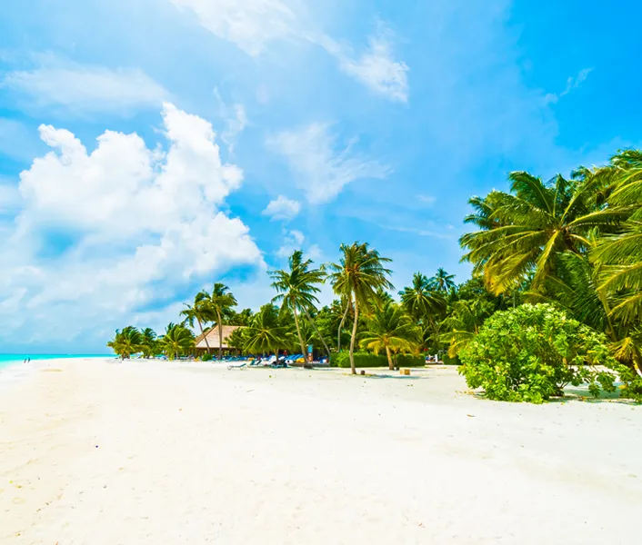 Private Island
