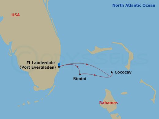 Celebrity Reflection