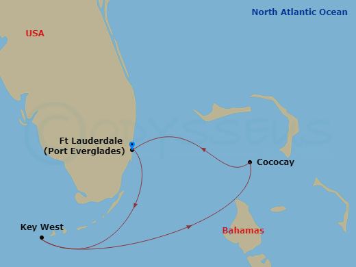 Celebrity Reflection